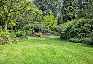 Optimiser l'expérience du jardin à Lidrezing